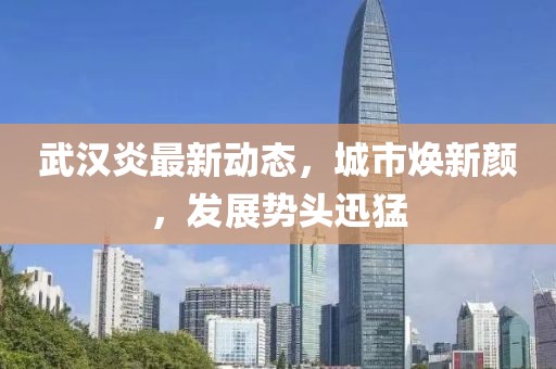 武汉炎最新动态，城市焕新颜，发展势头迅猛