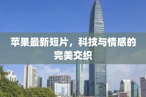 2025年1月 第13页