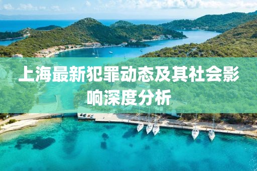 上海最新犯罪动态及其社会影响深度分析