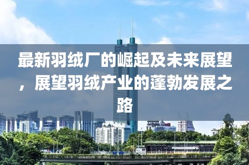 最新羽绒厂的崛起及未来展望，展望羽绒产业的蓬勃发展之路