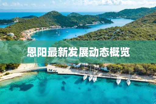 恩阳最新发展动态概览