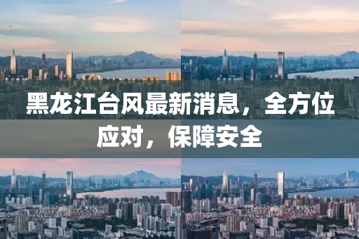 黑龙江台风最新消息，全方位应对，保障安全