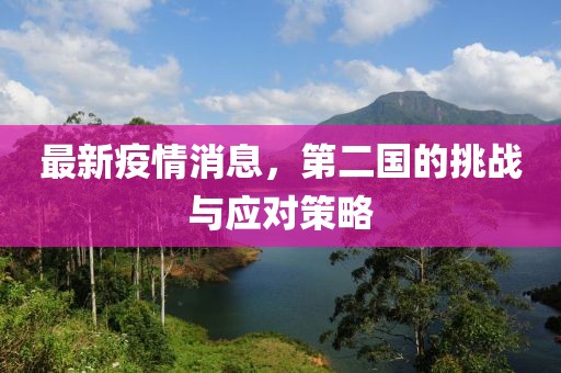 最新疫情消息，第二国的挑战与应对策略