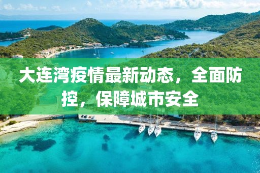 大连湾疫情最新动态，全面防控，保障城市安全