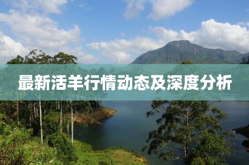 最新活羊行情动态及深度分析