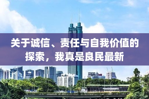 关于诚信、责任与自我价值的探索，我真是良民最新
