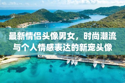 最新情侣头像男女，时尚潮流与个人情感表达的新宠头像