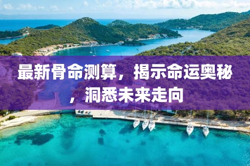 最新骨命测算，揭示命运奥秘，洞悉未来走向