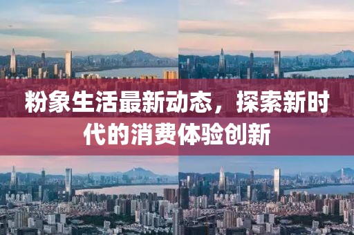 粉象生活最新动态，探索新时代的消费体验创新