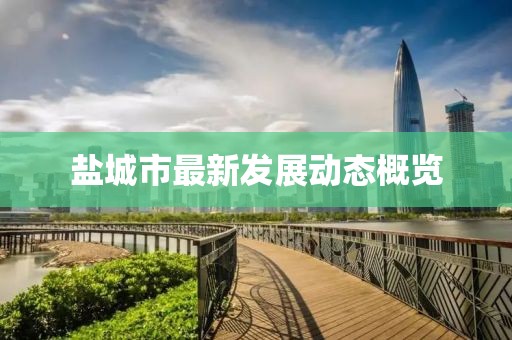 盐城市最新发展动态概览