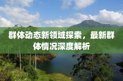 群体动态新领域探索，最新群体情况深度解析