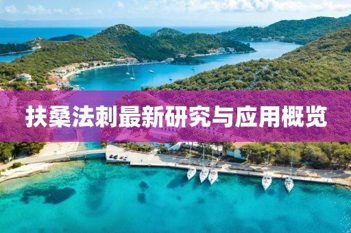 扶桑法刺最新研究与应用概览