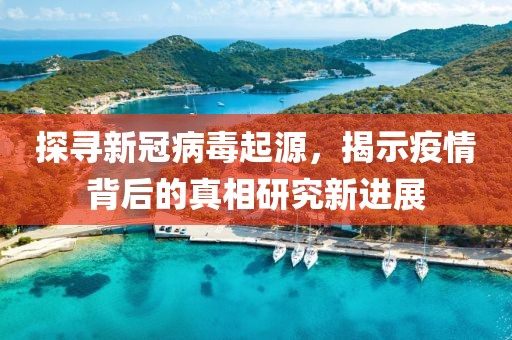 探寻新冠病毒起源，揭示疫情背后的真相研究新进展