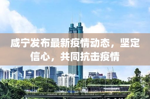 咸宁发布最新疫情动态，坚定信心，共同抗击疫情