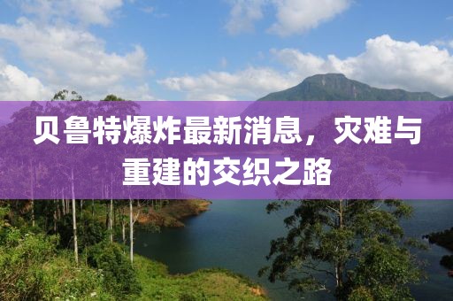 贝鲁特爆炸最新消息，灾难与重建的交织之路