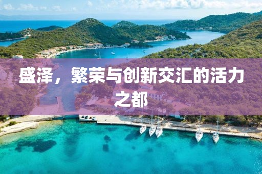 盛泽，繁荣与创新交汇的活力之都