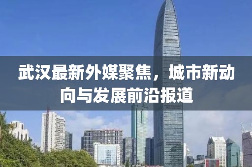 武汉最新外媒聚焦，城市新动向与发展前沿报道