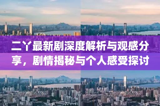 二丫最新剧深度解析与观感分享，剧情揭秘与个人感受探讨
