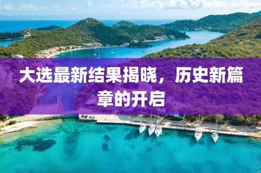 大选最新结果揭晓，历史新篇章的开启