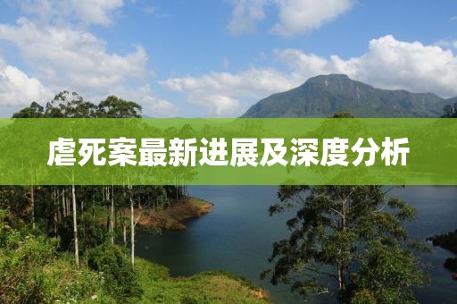 虐死案最新进展及深度分析