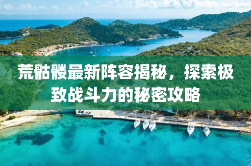 荒骷髅最新阵容揭秘，探索极致战斗力的秘密攻略