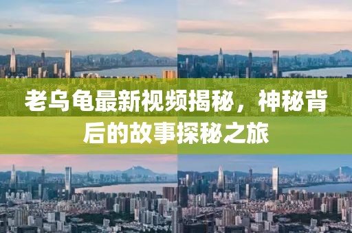 老乌龟最新视频揭秘，神秘背后的故事探秘之旅