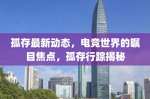 孤存最新动态，电竞世界的瞩目焦点，孤存行踪揭秘