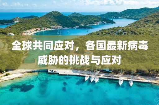 全球共同应对，各国最新病毒威胁的挑战与应对