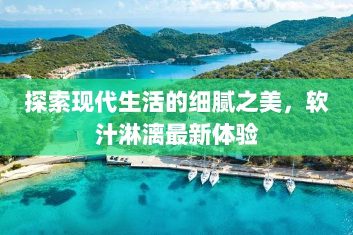 探索现代生活的细腻之美，软汁淋漓最新体验