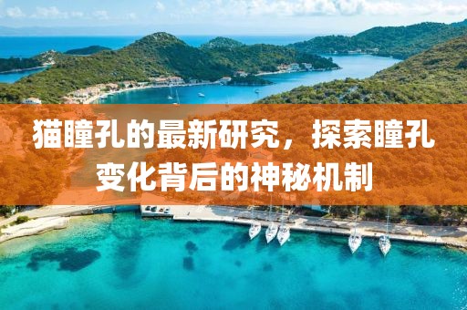 猫瞳孔的最新研究，探索瞳孔变化背后的神秘机制