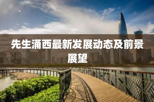 先生涌西最新发展动态及前景展望