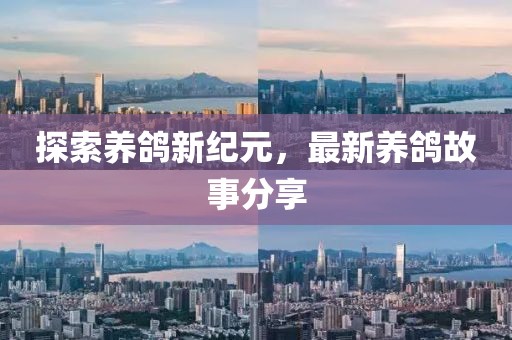 探索养鸽新纪元，最新养鸽故事分享