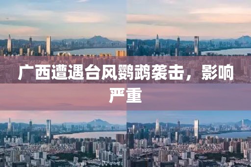 广西遭遇台风鹦鹉袭击，影响严重