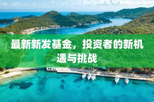 最新新发基金，投资者的新机遇与挑战