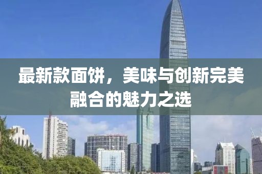最新款面饼，美味与创新完美融合的魅力之选