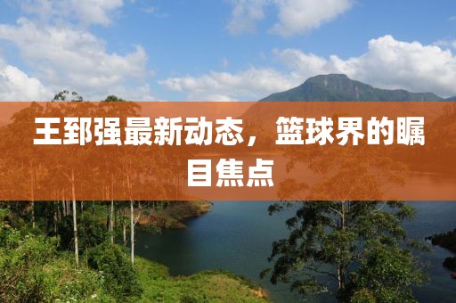 王郅强最新动态，篮球界的瞩目焦点