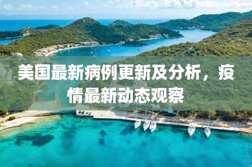 美国最新病例更新及分析，疫情最新动态观察