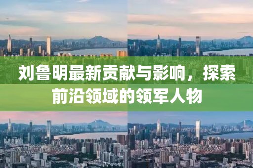 刘鲁明最新贡献与影响，探索前沿领域的领军人物