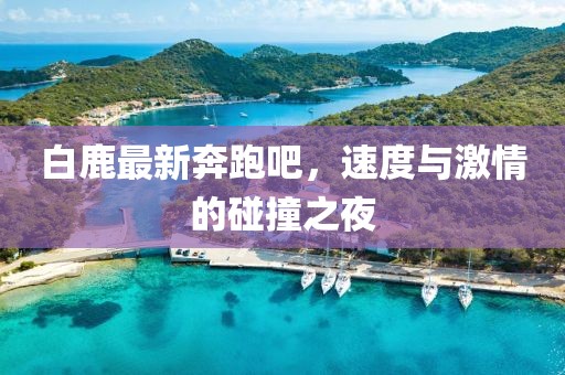 白鹿最新奔跑吧，速度与激情的碰撞之夜