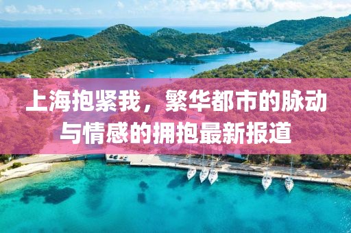 上海抱紧我，繁华都市的脉动与情感的拥抱最新报道