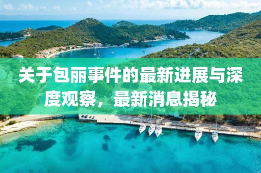 关于包丽事件的最新进展与深度观察，最新消息揭秘