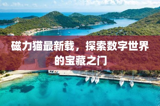 磁力猫最新载，探索数字世界的宝藏之门