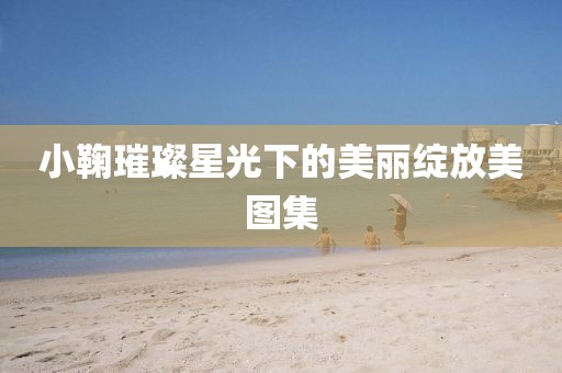 小鞠璀璨星光下的美丽绽放美图集