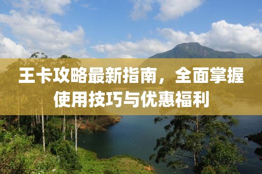 王卡攻略最新指南，全面掌握使用技巧与优惠福利