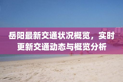 岳阳最新交通状况概览，实时更新交通动态与概览分析