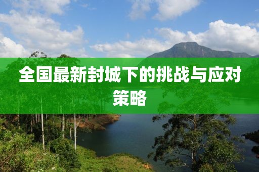 全国最新封城下的挑战与应对策略