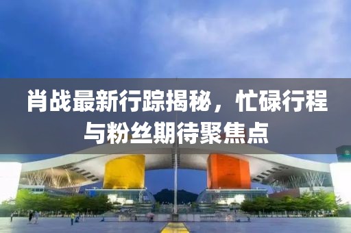 肖战最新行踪揭秘，忙碌行程与粉丝期待聚焦点