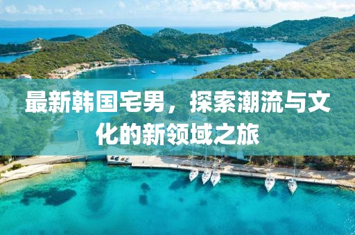 最新韩国宅男，探索潮流与文化的新领域之旅