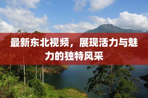 最新东北视频，展现活力与魅力的独特风采