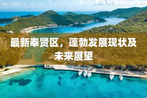 最新奉贤区，蓬勃发展现状及未来展望